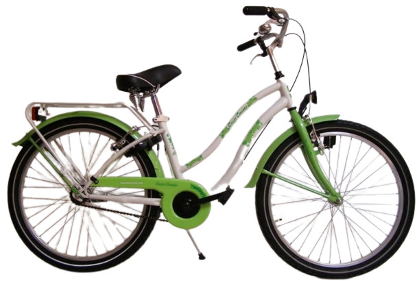 BIKE FUN KIDS CRAZY CRUISER GIRLS 24 INCH WIT  GROEN 